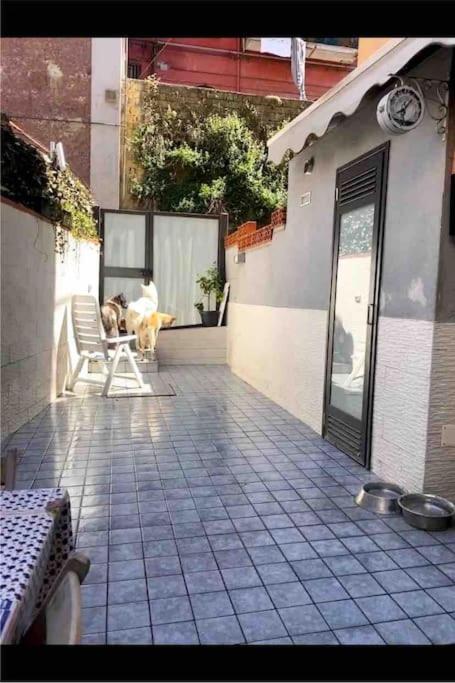 Napoli Centro Casa Con Due Camere E Cucina Экстерьер фото